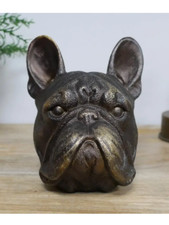 Bronze French bull dog