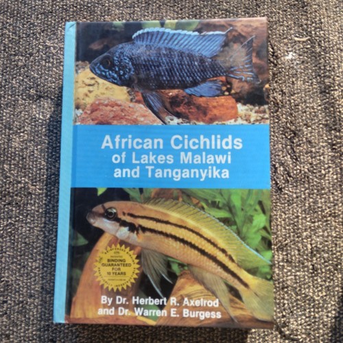 Book african cichlids - book,