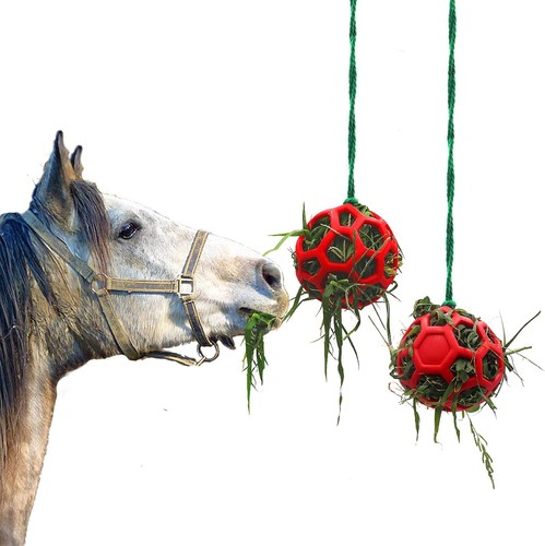 Pack horse treat ball hay - horse,