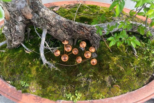 Copper mushroom garden - mushroom,
