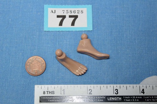 Scale pair of female - ,