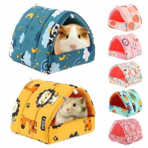 Cage winter hamster - winter, house