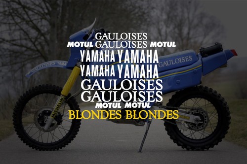 Yamaha xt600z 1vj tenere - xt600z,