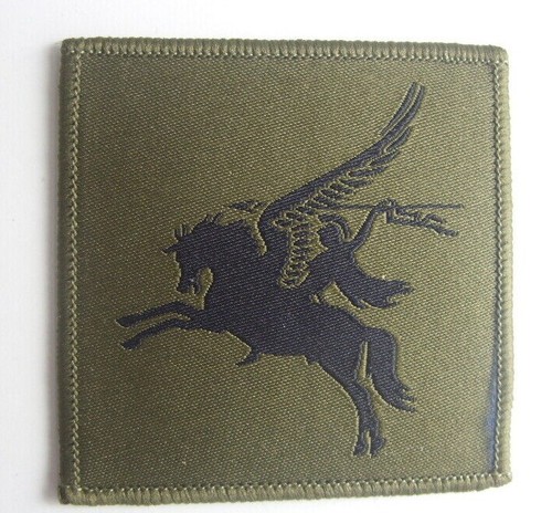 Trf arm badges airborne - dz,
