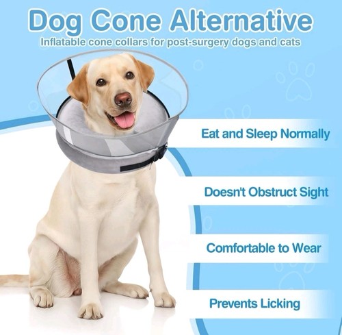 Dog recovery collar - 2-in-1,