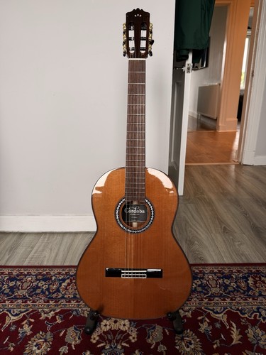 Cordoba luthier parlour - luthier, c9