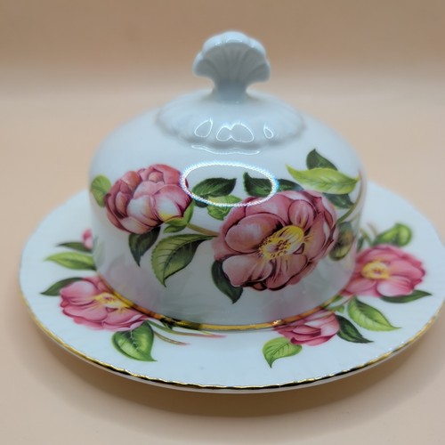 Paragon camelia series hana - paragon,