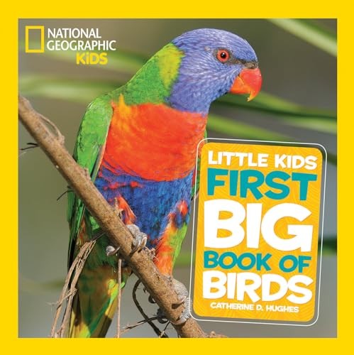 Little kids first big - first, book