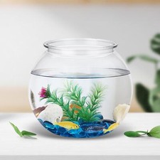 Small Transparent Aquarium