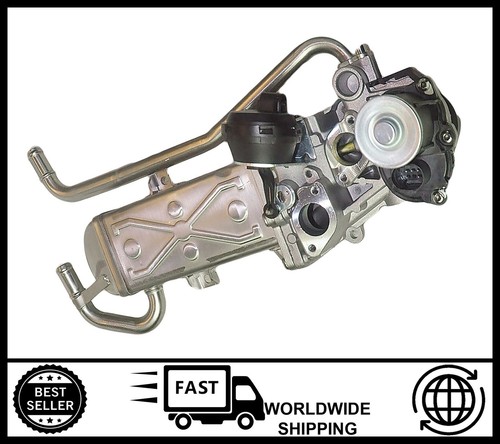 Egr valve cooler for - valve,