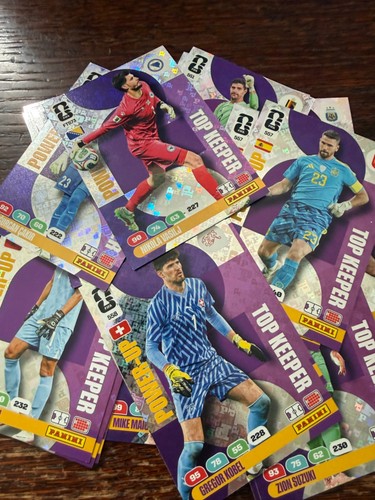 Panini adrenalyn fifa - fifa, world