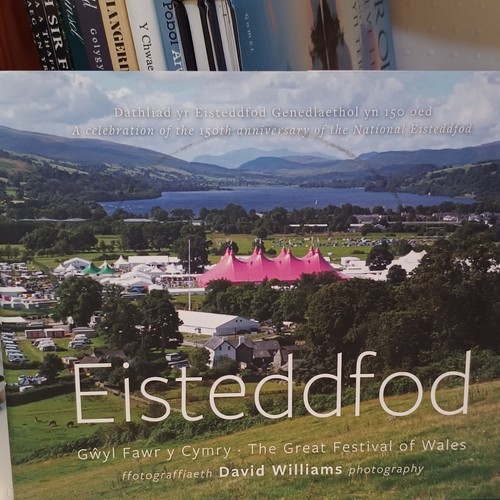 David williams eisteddfod - david,