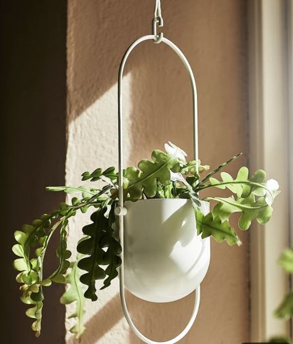 Ikea chilistran hanging - ikea,