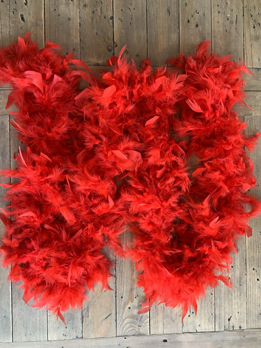 Red feather boa - feather,