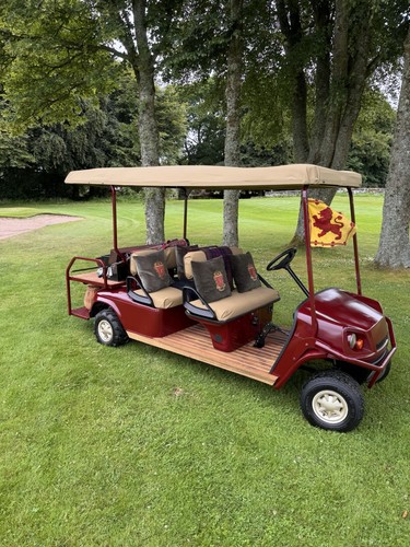 Bespoke cushman ezgo person - bespoke, 4-person