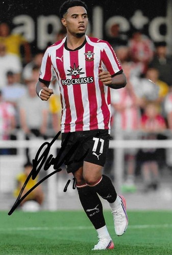 Lewis dobbin southampton - lewis,