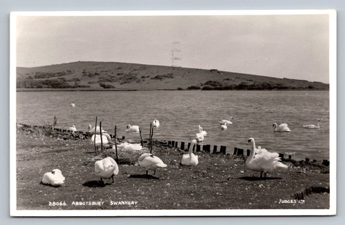Postcard abbotsbury the - abbotsbury,