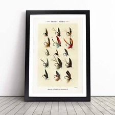 Trout fishing flies version - trout, 3