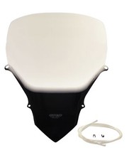 Windshield MRA touring screen