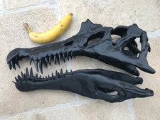 Large 3D Printed Spinosaurus Skull – Prehistoric Fossil Jurassic Park Dinosaur.