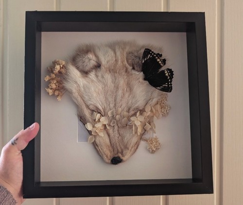 Framed vintage fox mask - fox,