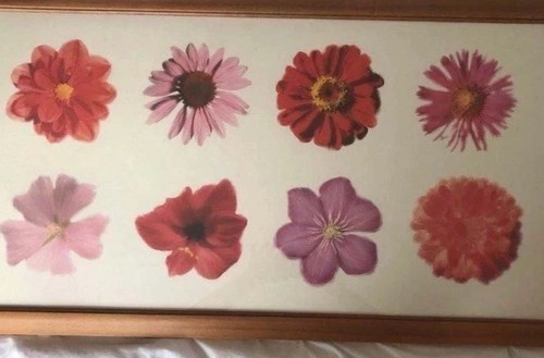 Ikea framed flower prints - ikea,
