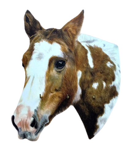 Piebald horse key rack - horse,