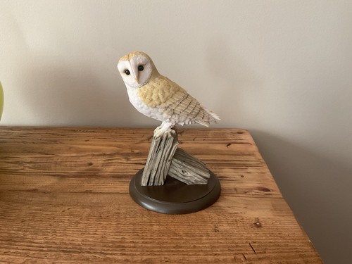 Border fine arts barn owl - arts,