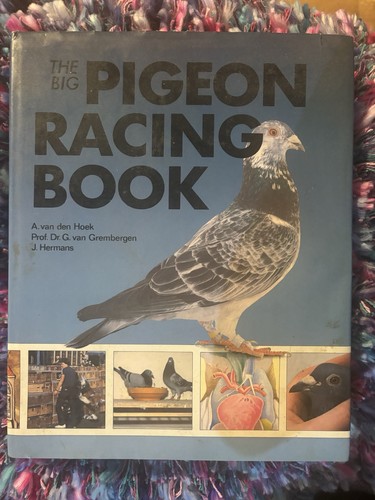 The big pigeon - big, book