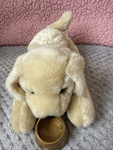 Years andrex puppy - 30,