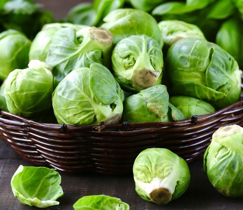Brussel sprouts seeds - sprouts, 600