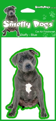 Staffordshire bull terrier - staffordshire,