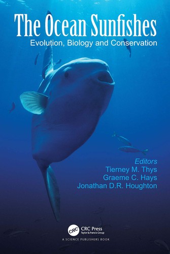The ocean sunfishes - ocean,