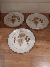 Denby Cotswold Plates 20 Cm Dia