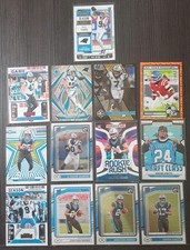 carolina panthers lot