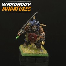 Pro Painted Warhammer Ogre