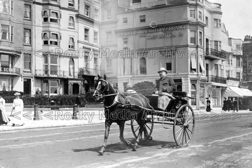 Ffx horse trap brighton - &, trap,