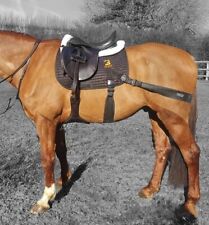 Equine Band Core Conditioning System by Equine Balance Bands