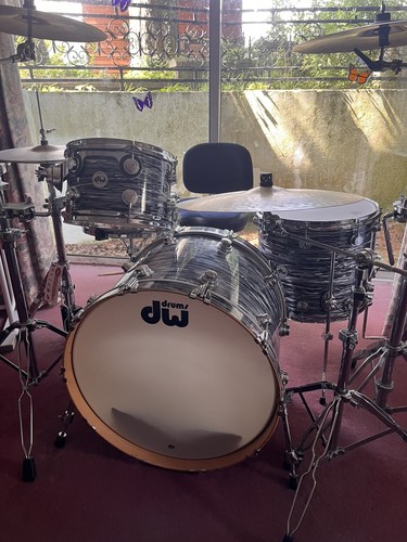Collectors maple oyster - dw,