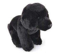 Faithful friends black - faithful,