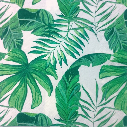 Ply green leaves - (pack,