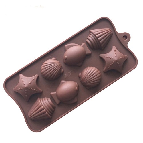 Seaside shells starfish ocean - starfish,