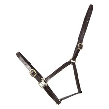 HY Horse Leather Foal Head
