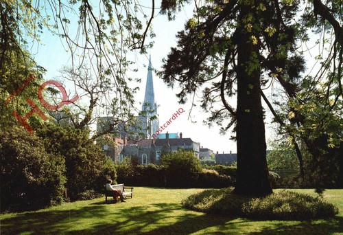 Picture postcard chichester - postcard:,
