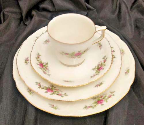 Rosenthal cup saucer - rosenthal, cup,