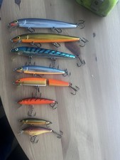 Rapala Husky-jerk Fishing