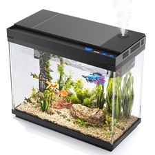 Fish Tank, 2.4 Gallon Fish