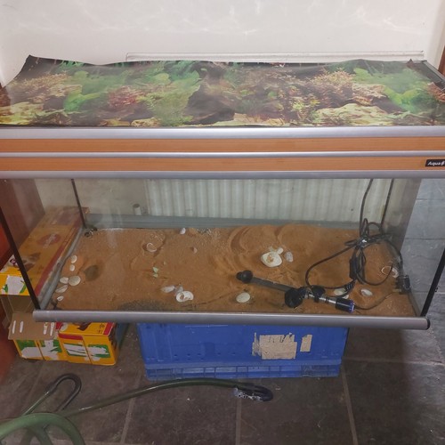 Aqua vital aquarium fish - aquarium,