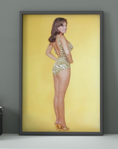 Raquel welch unframed wall - raquel,