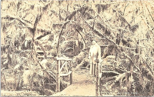 Rppc redwood highway woman - highway, ca